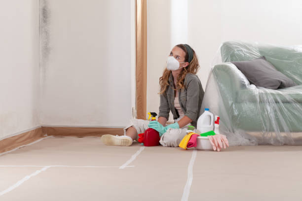 Reliable Mold Remediation contractor in Farmington, MN by WQB Mold Removal